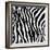 Zebra Print-sjgh-Framed Art Print