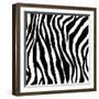 Zebra Print-sjgh-Framed Art Print