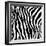 Zebra Print-sjgh-Framed Art Print