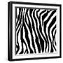 Zebra Print-sjgh-Framed Art Print