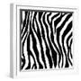 Zebra Print-sjgh-Framed Art Print