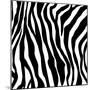 Zebra Print-sjgh-Mounted Art Print