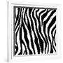 Zebra Print-sjgh-Framed Art Print