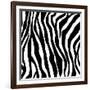 Zebra Print-sjgh-Framed Art Print