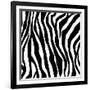 Zebra Print-sjgh-Framed Art Print