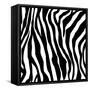 Zebra Print-sjgh-Framed Stretched Canvas