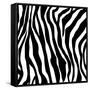 Zebra Print-sjgh-Framed Stretched Canvas