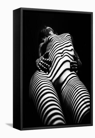 Zebra Shadow-Mikhail Faletkin-Framed Stretched Canvas