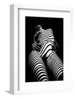 Zebra Shadow-Mikhail Faletkin-Framed Photographic Print