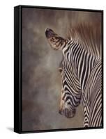 ZEBRA SIDE FINAL-David Stribbling-Framed Stretched Canvas