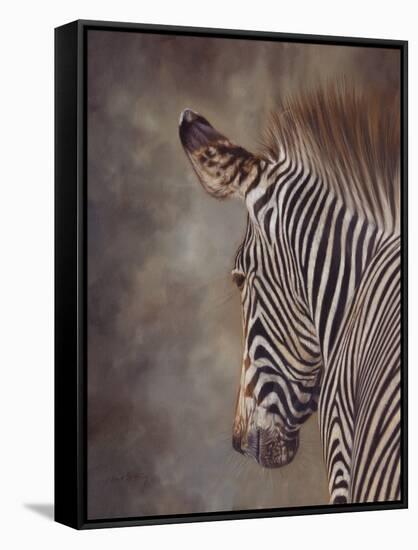 ZEBRA SIDE FINAL-David Stribbling-Framed Stretched Canvas