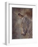 ZEBRA SIDE FINAL-David Stribbling-Framed Art Print