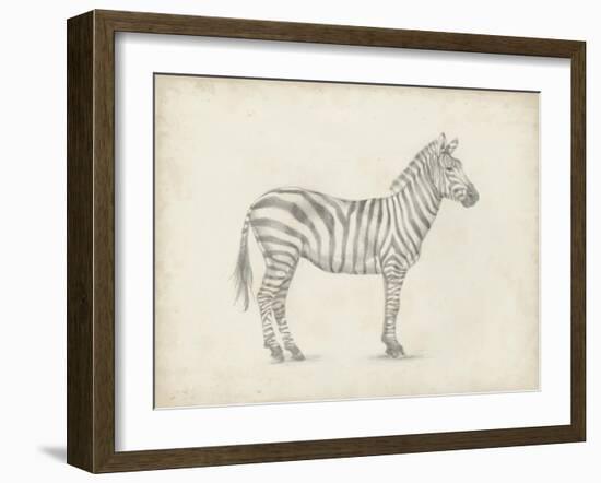 Zebra Sketch-Ethan Harper-Framed Art Print