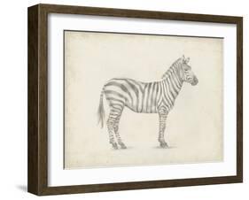 Zebra Sketch-Ethan Harper-Framed Art Print