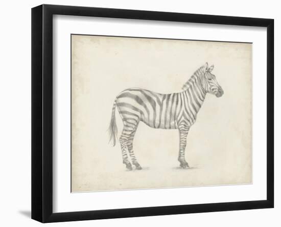 Zebra Sketch-Ethan Harper-Framed Art Print