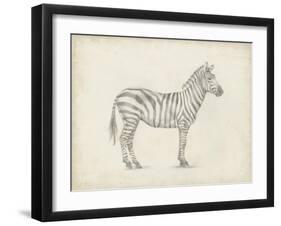 Zebra Sketch-Ethan Harper-Framed Art Print