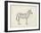 Zebra Sketch-Ethan Harper-Framed Art Print