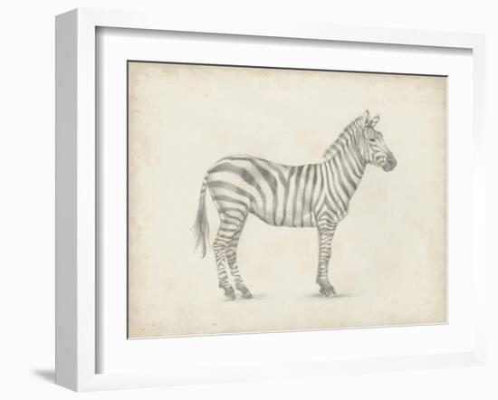 Zebra Sketch-Ethan Harper-Framed Art Print