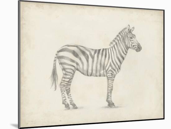 Zebra Sketch-Ethan Harper-Mounted Art Print