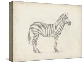 Zebra Sketch-Ethan Harper-Stretched Canvas