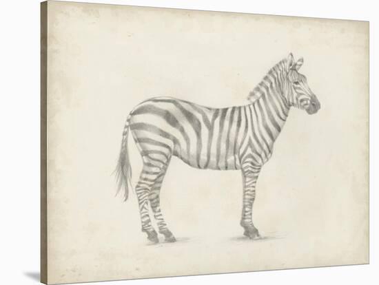 Zebra Sketch-Ethan Harper-Stretched Canvas