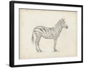 Zebra Sketch-Ethan Harper-Framed Art Print