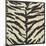 Zebra Skin-Susan Clickner-Mounted Giclee Print