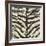 Zebra Skin-Susan Clickner-Framed Giclee Print