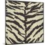 Zebra Skin-Susan Clickner-Mounted Giclee Print