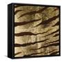 Zebra Skin-Patricia Pinto-Framed Stretched Canvas