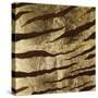 Zebra Skin-Patricia Pinto-Stretched Canvas