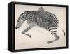 Zebra Skin-null-Framed Stretched Canvas