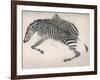 Zebra Skin-null-Framed Art Print