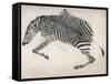 Zebra Skin-null-Framed Stretched Canvas