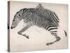 Zebra Skin-null-Stretched Canvas