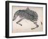 Zebra Skin-null-Framed Art Print