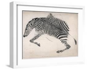 Zebra Skin-null-Framed Art Print