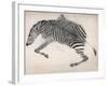 Zebra Skin-null-Framed Art Print