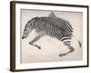 Zebra Skin-null-Framed Art Print