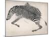 Zebra Skin-null-Mounted Art Print