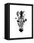 Zebra Splash-Alicia Zyburt-Framed Stretched Canvas