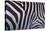 Zebra Stripes-DLILLC-Stretched Canvas