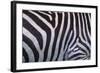 Zebra Stripes-DLILLC-Framed Photographic Print