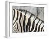 Zebra Stripes-JeremyRichards-Framed Photographic Print