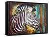 Zebra Stripes-Corina St. Martin-Framed Stretched Canvas