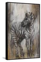 Zebra Study-Rikki Drotar-Framed Stretched Canvas