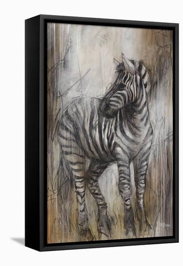 Zebra Study-Rikki Drotar-Framed Stretched Canvas