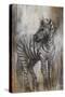 Zebra Study-Rikki Drotar-Stretched Canvas