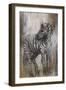 Zebra Study-Rikki Drotar-Framed Giclee Print