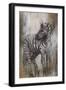 Zebra Study-Rikki Drotar-Framed Giclee Print